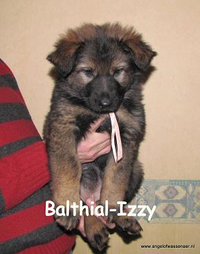 Balthial-Izzy